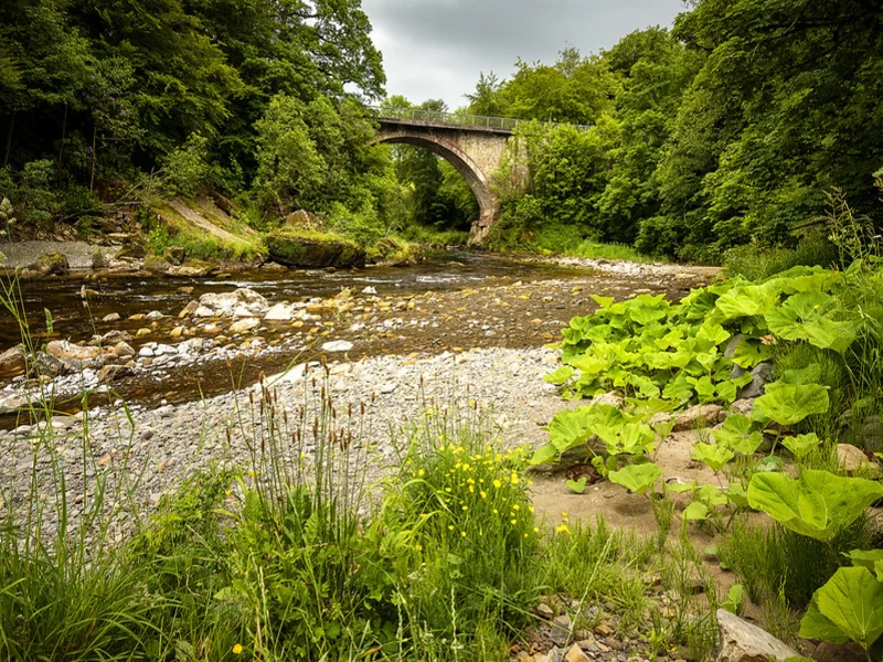 River Esk River Esk